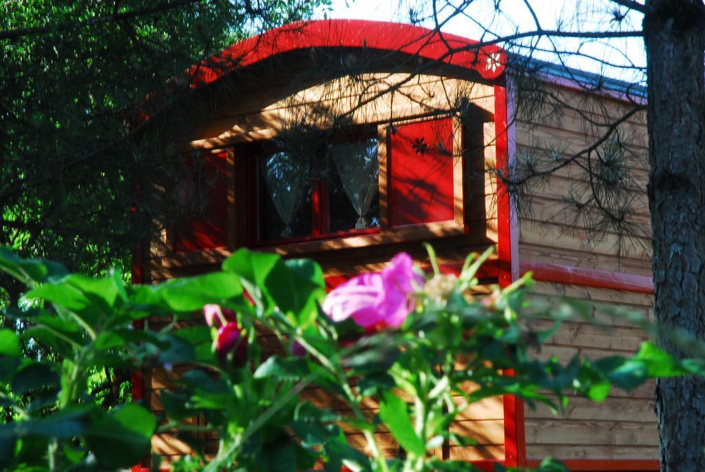 Gypsy Nature B&B Jumelles  Room photo
